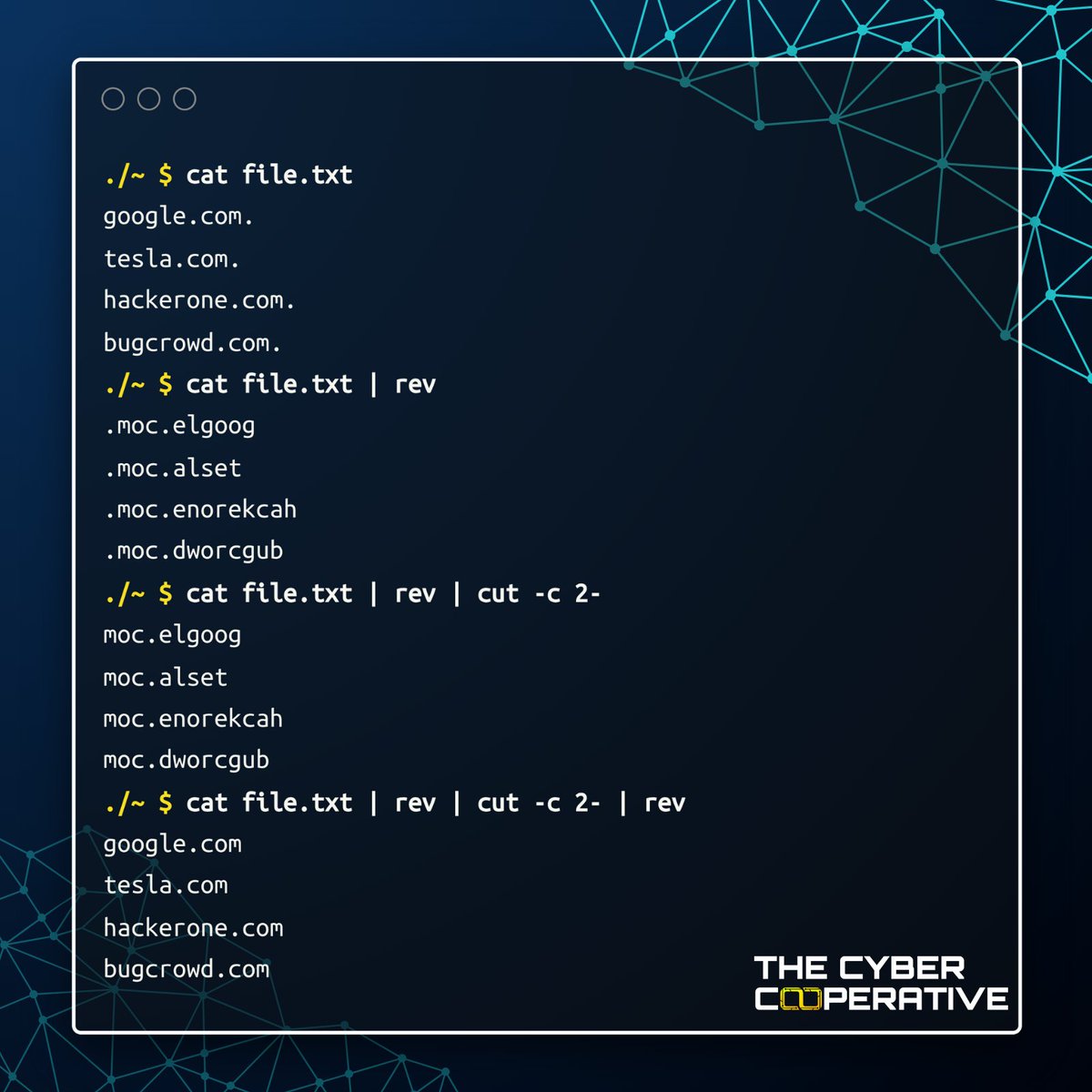 TheCyberCoop's tweet photo. How to use the cut and rev commands to remove the last character of each line in a file 👇 https://t.co/3MNdCXRhY3
