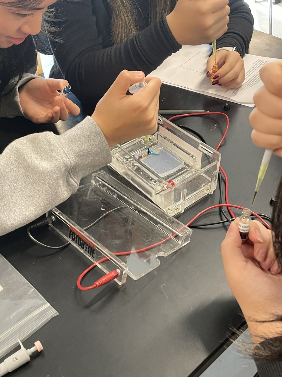 Jessica Leydon-Tremblay tweet media