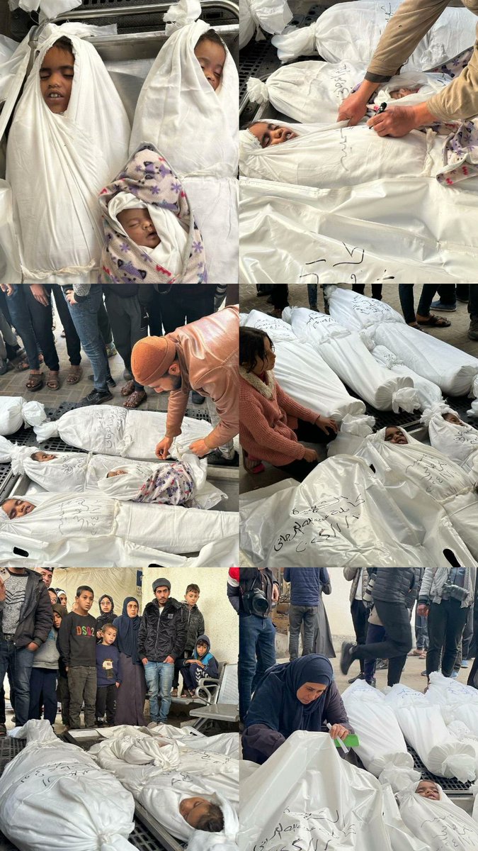 adhamsharkawi's tweet photo. يا وجع القلب يا غزّة 💔 https://t.co/Q3S53hZoPK