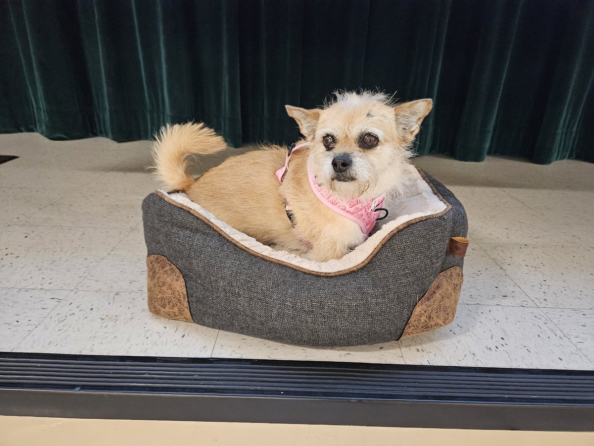 Sherri Hoffman tweet media