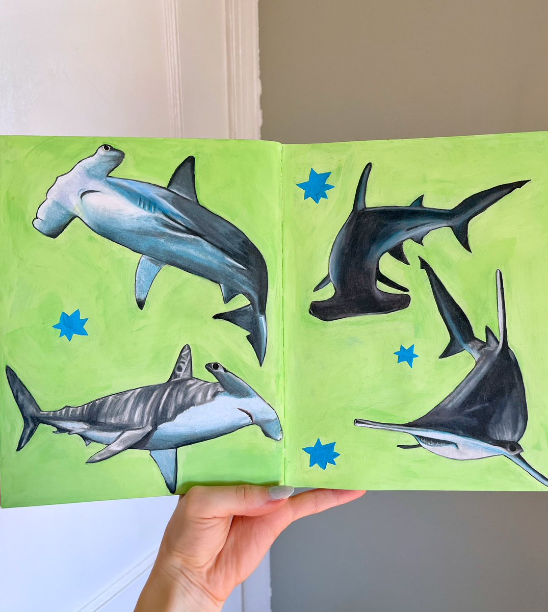 sharks in my sketchbook