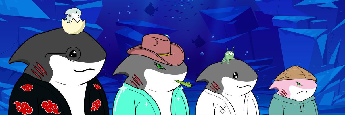 Solantis_sharks's tweet photo. All 🦈 are equal. All 🦈are for 0 SOL. Let us build a community step by step. https://t.co/gmkDvMWPcg