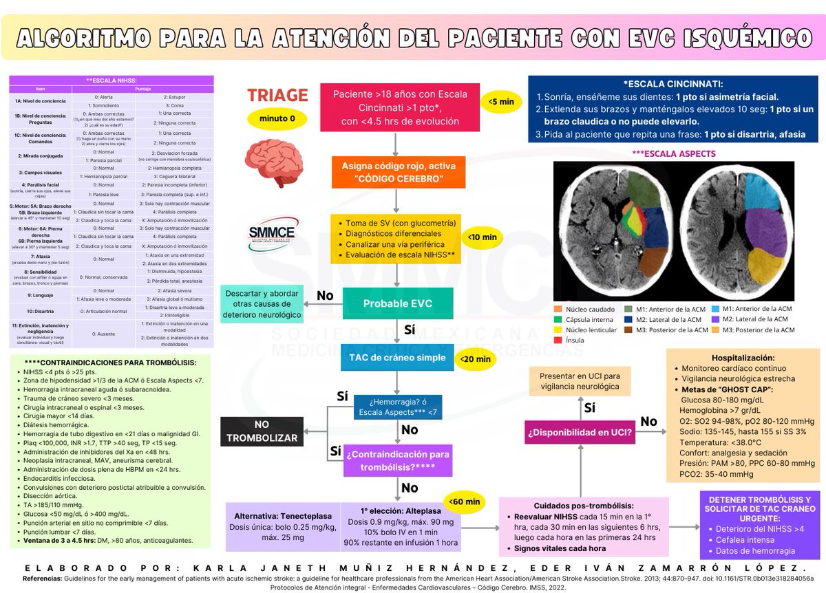 KarlaM_Hdz's tweet image. Algoritmo para la atención de paciente con EVC isquémico: CÓDIGO CEREBRO 🚨🧠
Descárgala en formato PDF aquí 👇🏻
intensiveqare.com/infografias-in…
 #FOAMed #FOAMcc #stroke
