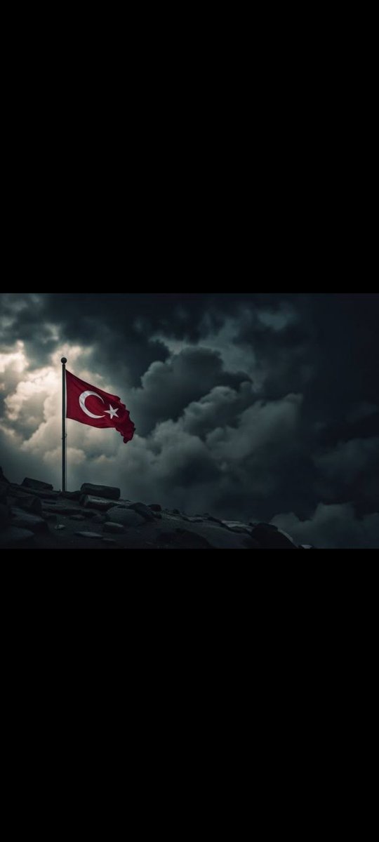 Mustafa Güralp (@mustafa_guralp) on Twitter photo 