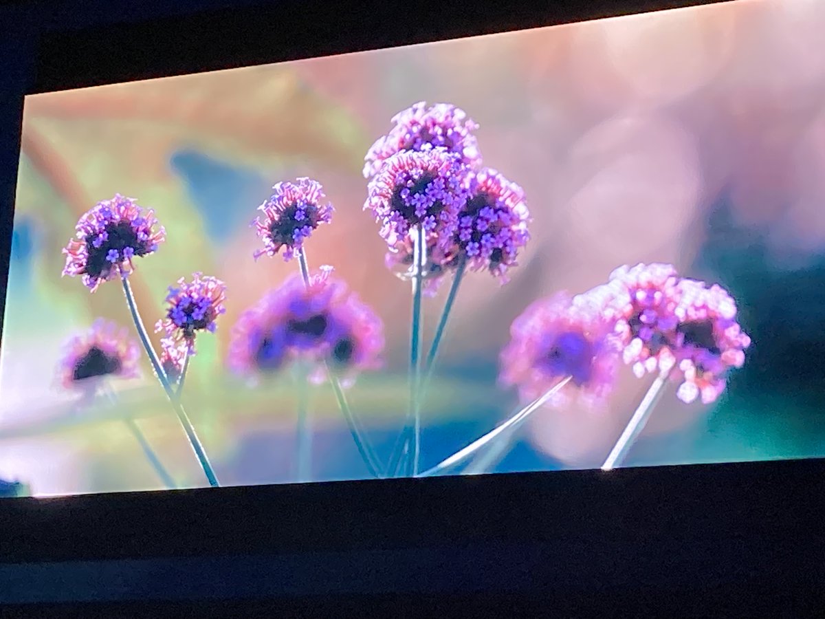 En accueillant en #Vendée les Floralies Internationales – France <a href="/ComiteFloralies/">Floralies Internationales - France</a>, nous allons pouvoir transmettre la passion du vivant et du #végétal à toutes les générations et je vous invite tous à mettre vos communes, entreprises... aux couleurs des #Floralies