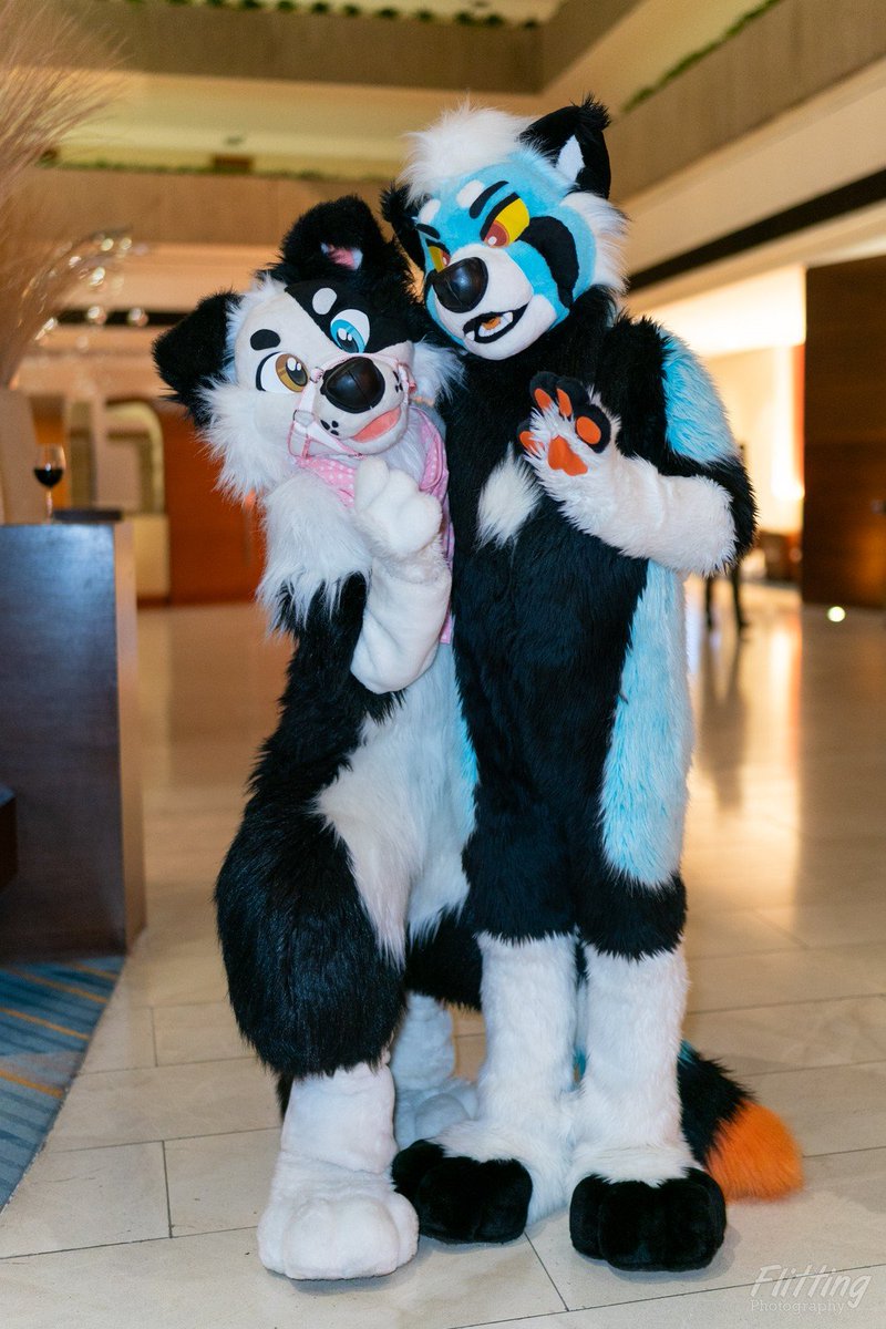 Eisenyote's tweet photo. Just a wah and a collie at #furfest23 
#FursuitFriday 
makers
@PNWorks @MulticolorBark 
with @colliedoggg https://t.co/bvTaehVLzp
