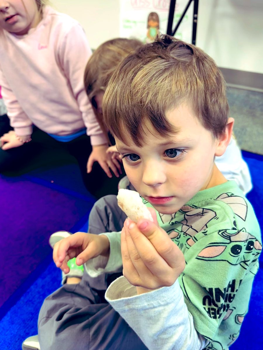 This week we have studied rocks 🪨 and how they are useful to us. How neat that a parent loaned us their arrowhead to observe! 🔬🤓
