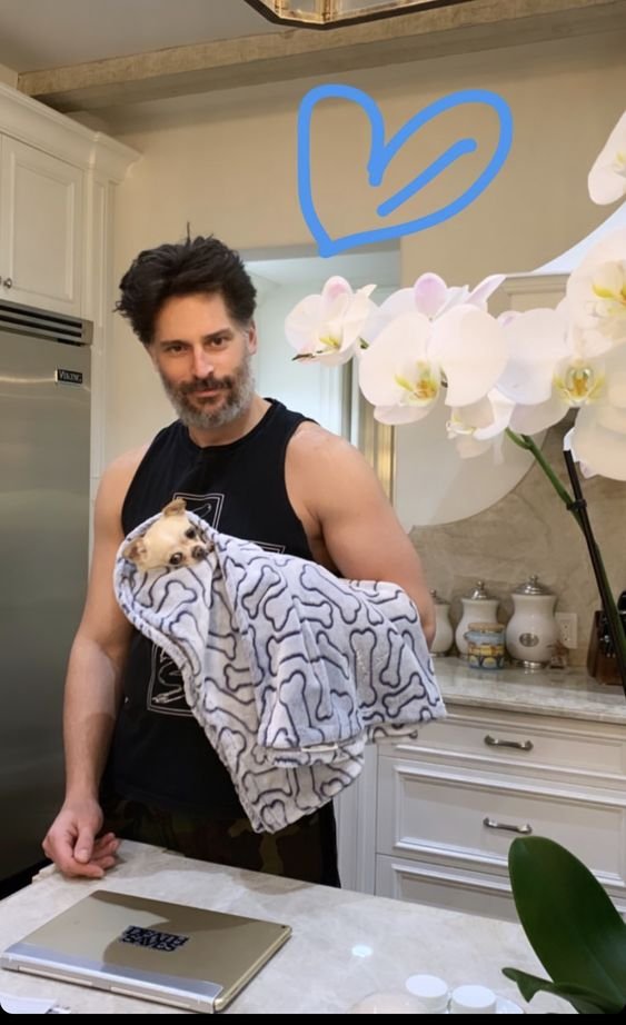 nsu_mark's tweet photo. EU ESQUECI POR UNS DIAS? SIM, mas não abandonei meu quadro diario. boyfriend of the day: joe manganiello, o motivo do meu pé ter entrado no furry e nunca ter saido https://t.co/pPxXu7oWg8