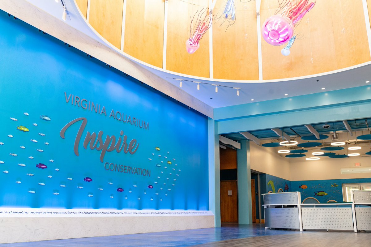 . @vaaquarium's s newly renovated South Building opens January14! The South Building’s renovated spaces will have immersive experiences with interactive exhibits, kids’ play areas, touch pools, observable veterinary care center, & more: virginiabeach.gov/whats-up/whats….