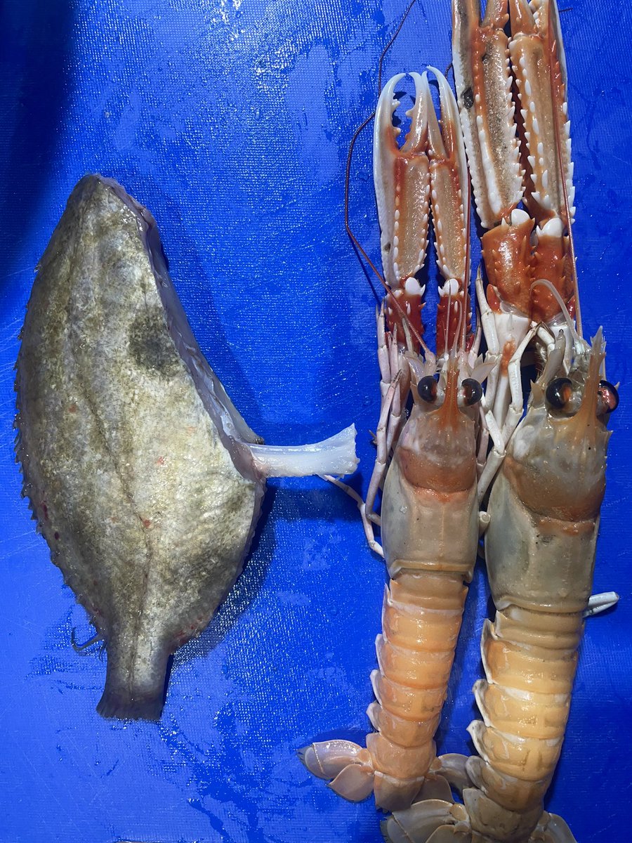 BrendanMoore4's tweet photo. The cream of Irish seafood. John Dory chop with mussel butter and pickled radish. Langoustine Bon bons with langoustine bisque. Was looking forward to this all day after a cold stand ❄️
#eatmorefish https://t.co/YH2uzjYwFq