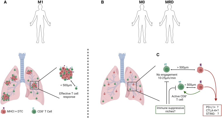 Cancer Cell tweet media