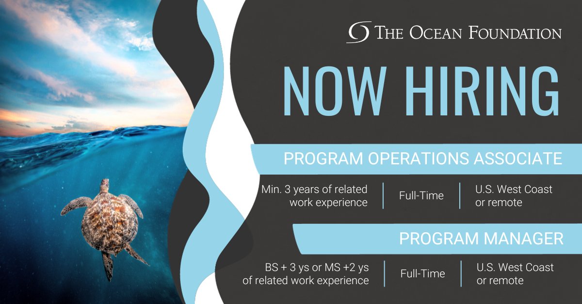oceanfdn's tweet photo. Are you ready to spearhead your #MarineConservation #career? Join our #OceanScienceEquity Team and support our work globally with a special focus on the Pacific Islands, Mexico, and the Caribbean.

Program Manager: https://t.co/sWHthpGQik
Program Operations Associate: https://t.co/m4XihLDzEQ