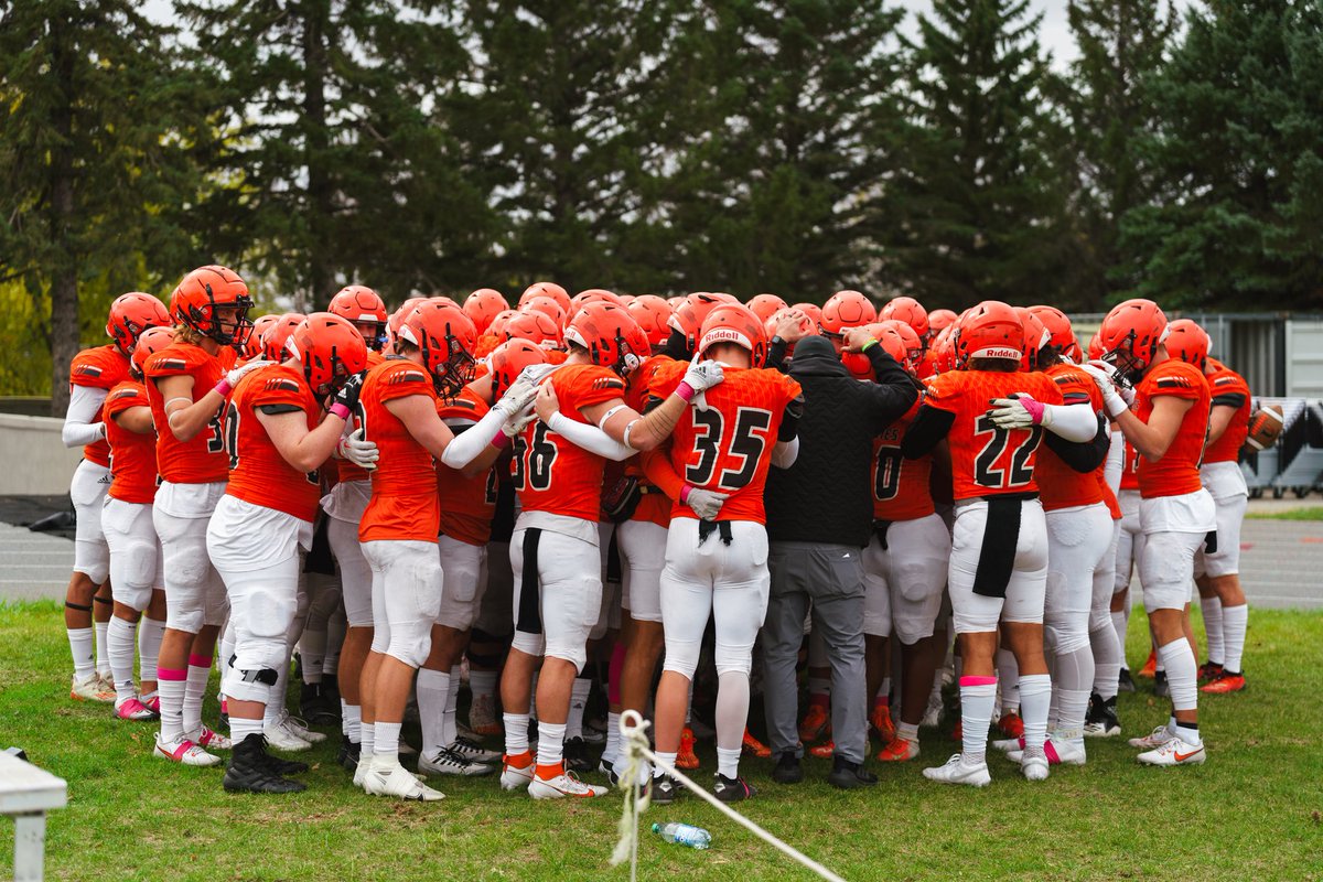 Brian Mistro tweet media