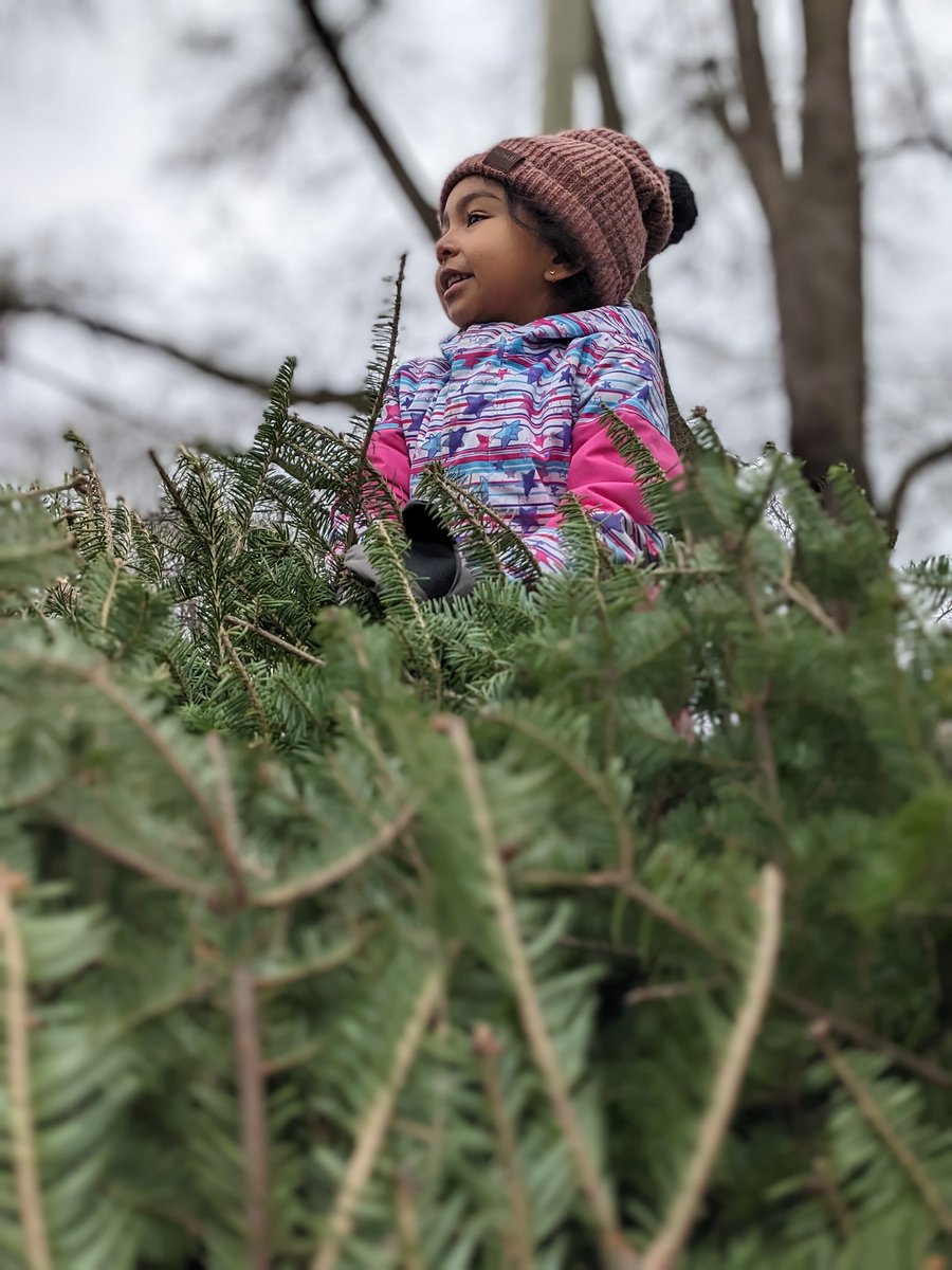 Ks from <a href="/WellesworthJS/">Wellesworth JS</a> explored, balanced, created, imagined, cooperated, and played during today's big adventure! Can you smell the 🌲🌲🌲? So glad we can give them a second life. <a href="/TOES_TDSB/">TOES_TDSB</a>