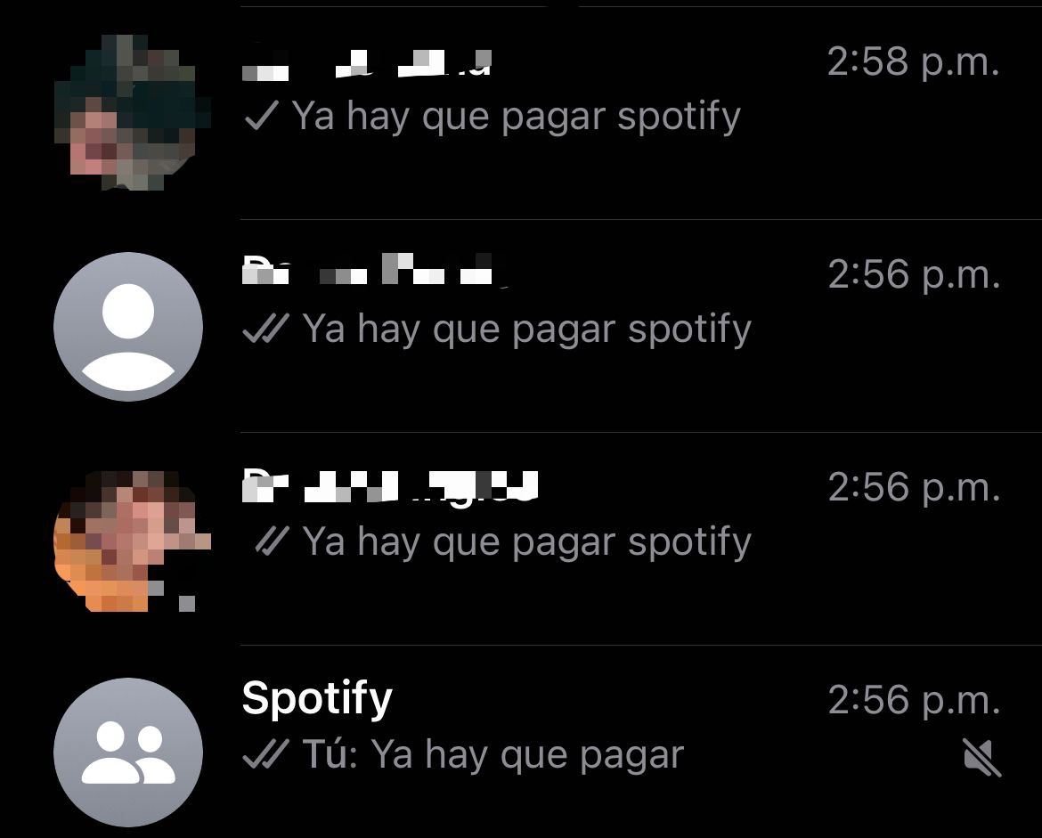 Gato369🐈‍⬛ tweet media