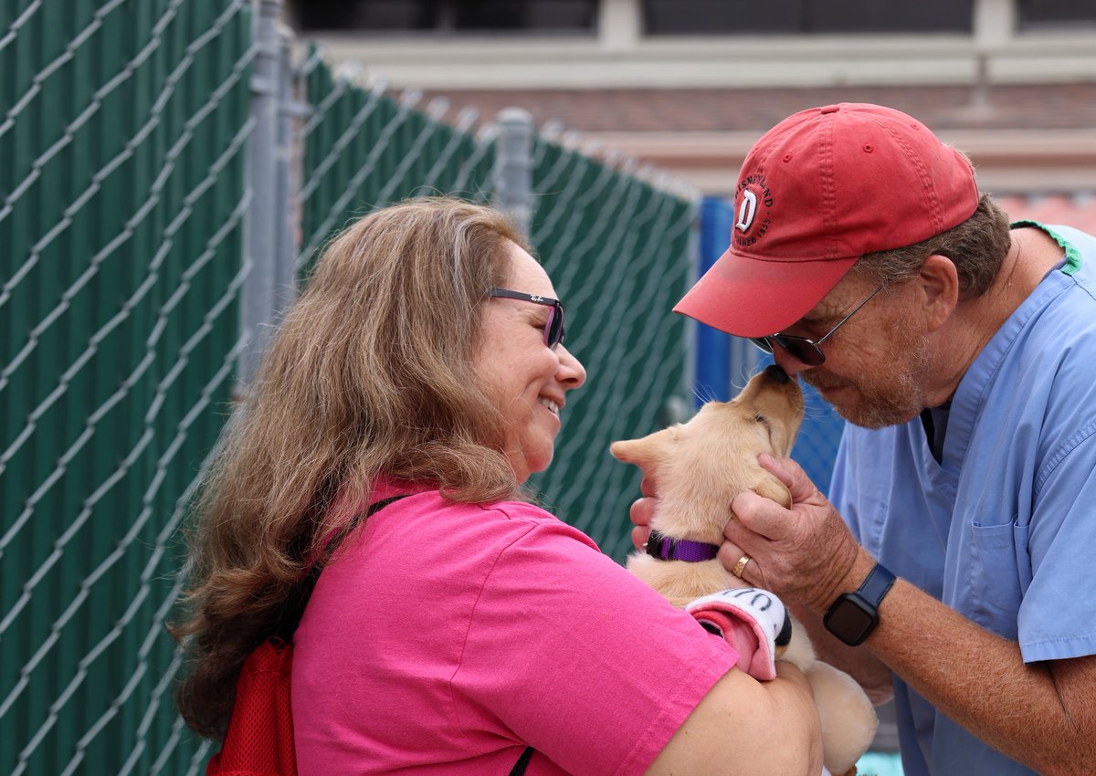 Make new friends.  Make memories.  Make a difference.  Raise a service dog puppy with GDA | TLC! 🐾