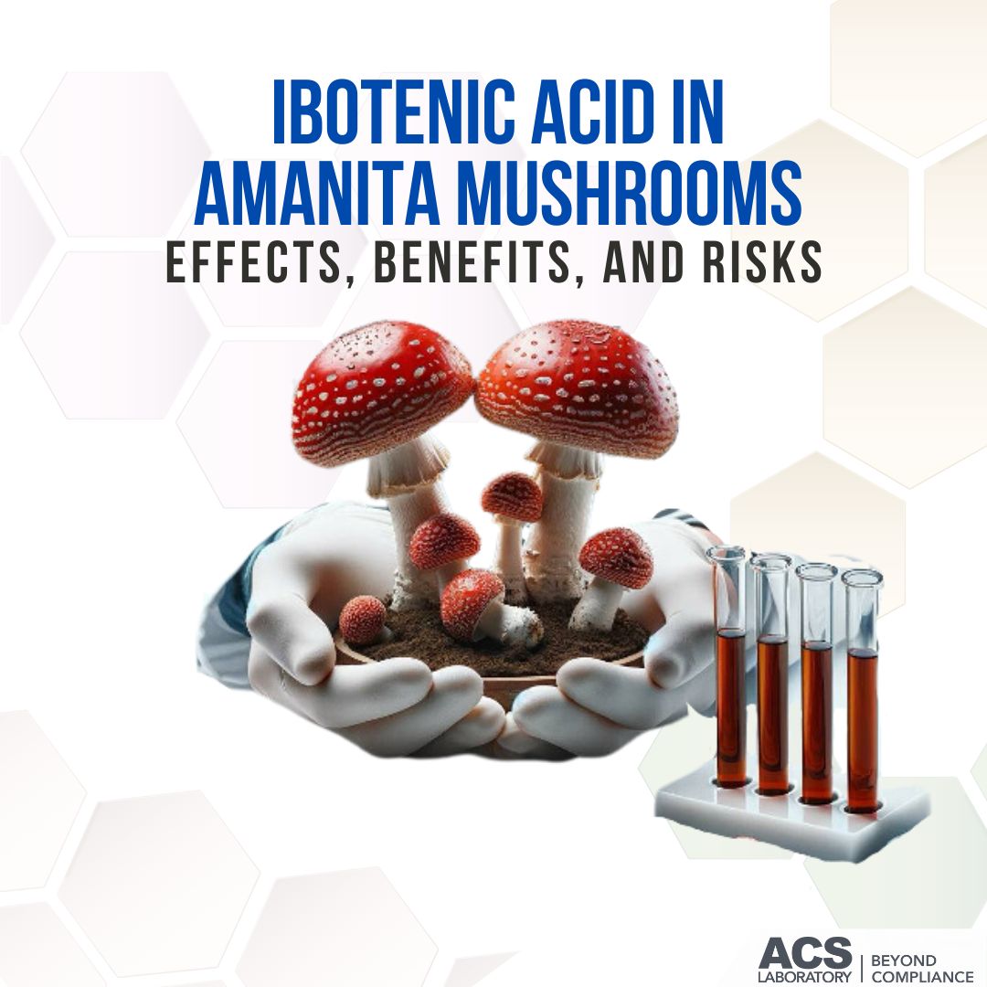 Our latest article sheds light on Amanita muscaria’d prodrug, ibotenic acid, examining its intriguing and mysterious impact on the mushroom’s psychoactive effects. l8r.it/QNoT

#ACS #thirdpartylab #ACSLaboratory #Amanita #Ibotenic #MysticalMushrooms #AmanitaMysteries