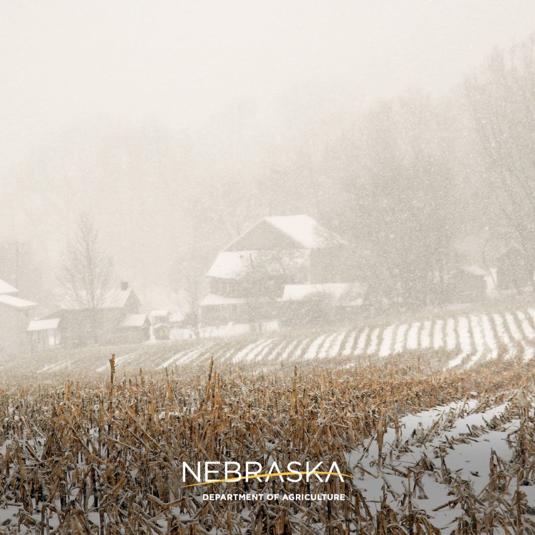 NeDeptAg's tweet photo. Even in the freezing cold and blowing snow, Nebraska’s ranchers work outside to feed, care for and keep close watch on their livestock. Today we send our heartfelt thanks to those braving the weather to help put food on our tables. Stay warm and safe. We’re thinking about you. https://t.co/cXXOTWlgV3