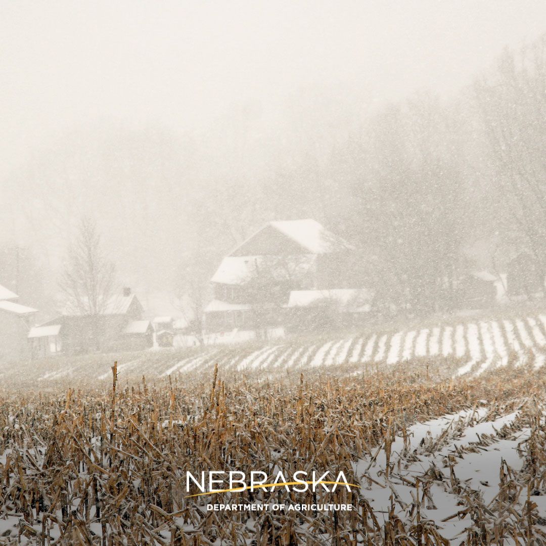 Even in the freezing cold and blowing snow, Nebraska’s ranchers work outside to feed, care for and keep close watch on their livestock. Today we send our heartfelt thanks to those braving the weather to help put food on our tables. Stay warm and safe. We’re thinking about you.