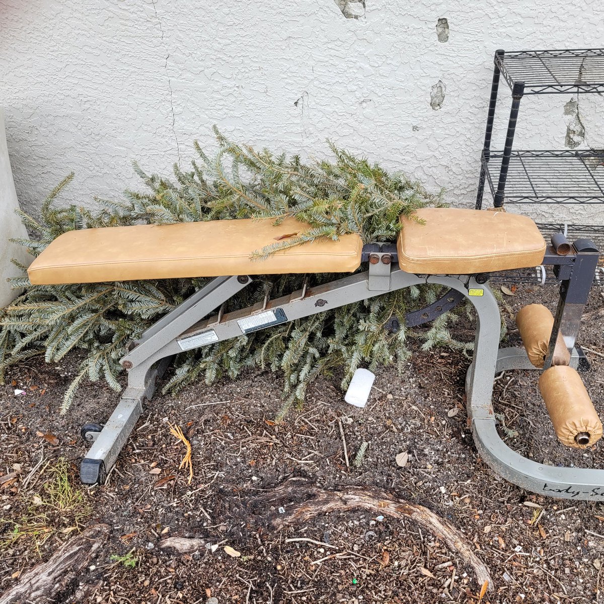 billeecox's tweet image. Thanks for the #workoutbench and the #christmastree goes #outwithit it&apos;s the thought #thatcounts