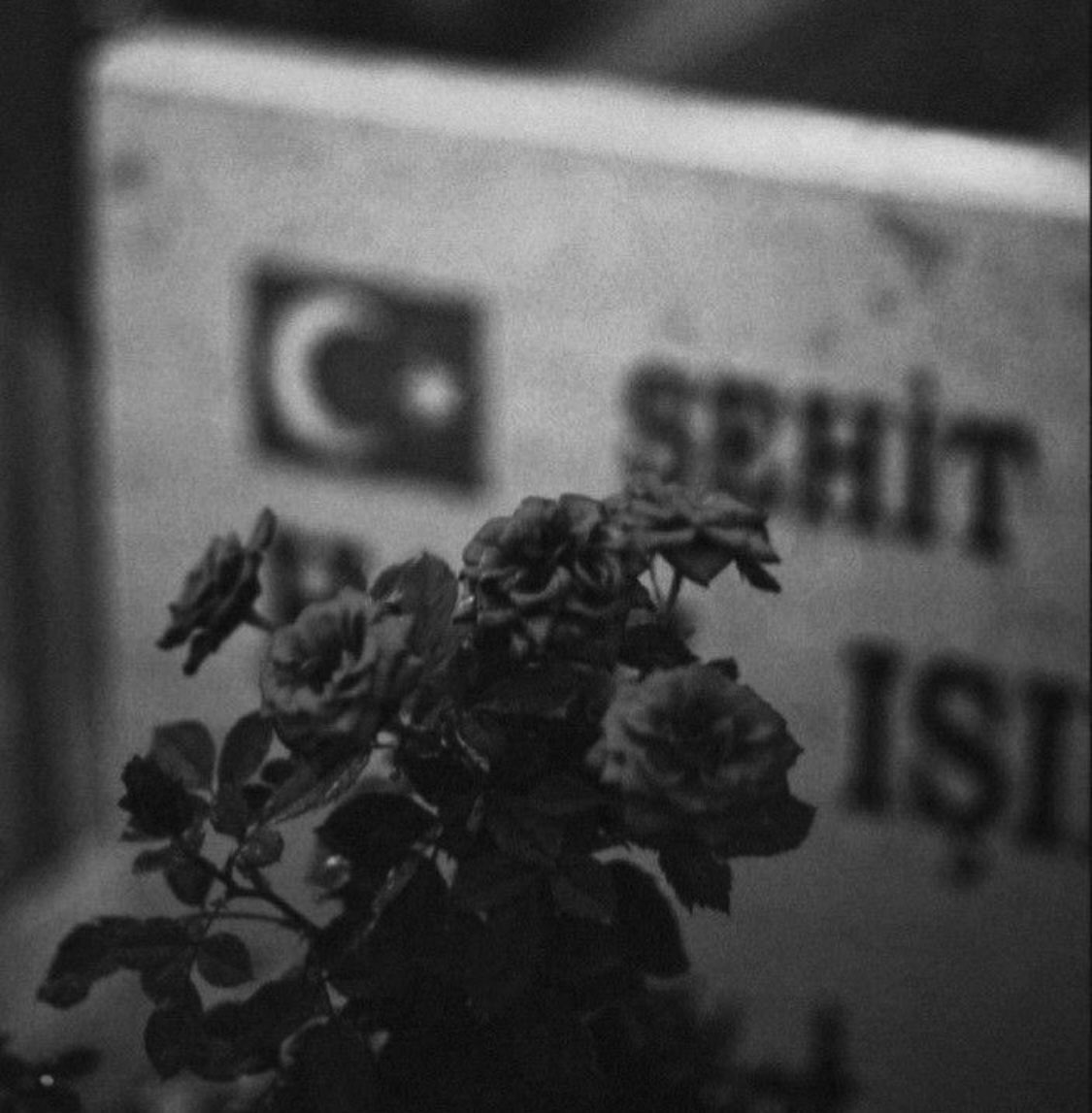 Vatan size minnettar 🇹🇷 

 #ŞehidinVarTürkiye