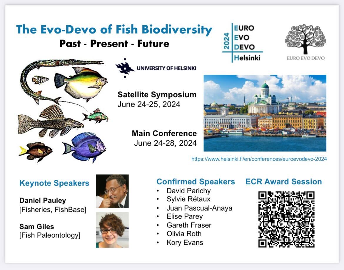 Fish researchers, save the date: Satellite Meeting on the Evo-Devo of Fish Biodiversity, June 24-25, 2024, in advance of @EED2024 in Helsinki! Two full days of exciting talks and discussions on #Fish #EvoDevo. Website + abstract submission open soon!