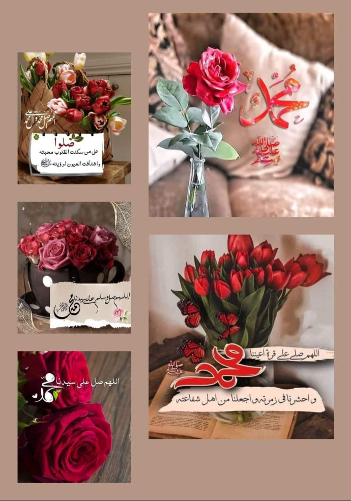 #صلوا_على_الحبيب_محمد 

<a href="/renaomar80/">🎨🎀 ℕ𝔼𝕊ℝ𝔼𝔼ℕ 🎀🎨</a> 
@Naa480 
<a href="/mmdmmd87313/">محمد</a> 
@_ME__A_
<a href="/9rrgr/">لهــيب المــشـا؏ر ❤️‍🔥</a>
<a href="/zzxxyyu/">Ledger Support Account</a> 
<a href="/amran2020s60/">مكتب ابو عبد الله الخدمات العامة</a> 
<a href="/Adropydr2/">د عبدالكريم الدروبي</a> 
<a href="/Fofa__1907/">وفــاء 🩷</a>
<a href="/ndnbyle35/">Müjgan</a>
<a href="/E__Sodi/">غيـــــــــــــــــم ☁☁🇸🇦</a>  
@A___lyaa 
<a href="/MhmdrdmanQ76109/">قاسم م ردمان الشميري</a>
@yii_9Q 
<a href="/AlzuairM/">ابو الغاليات</a> 
<a href="/ll4474/">CRYPTO INSIDER 👑</a> 
<a href="/j2e4k6a/">چيكا وموكا</a>
<a href="/WehbeYm2/">YmWehbe حساب بديل</a> 
@20_01j
@s22ii0