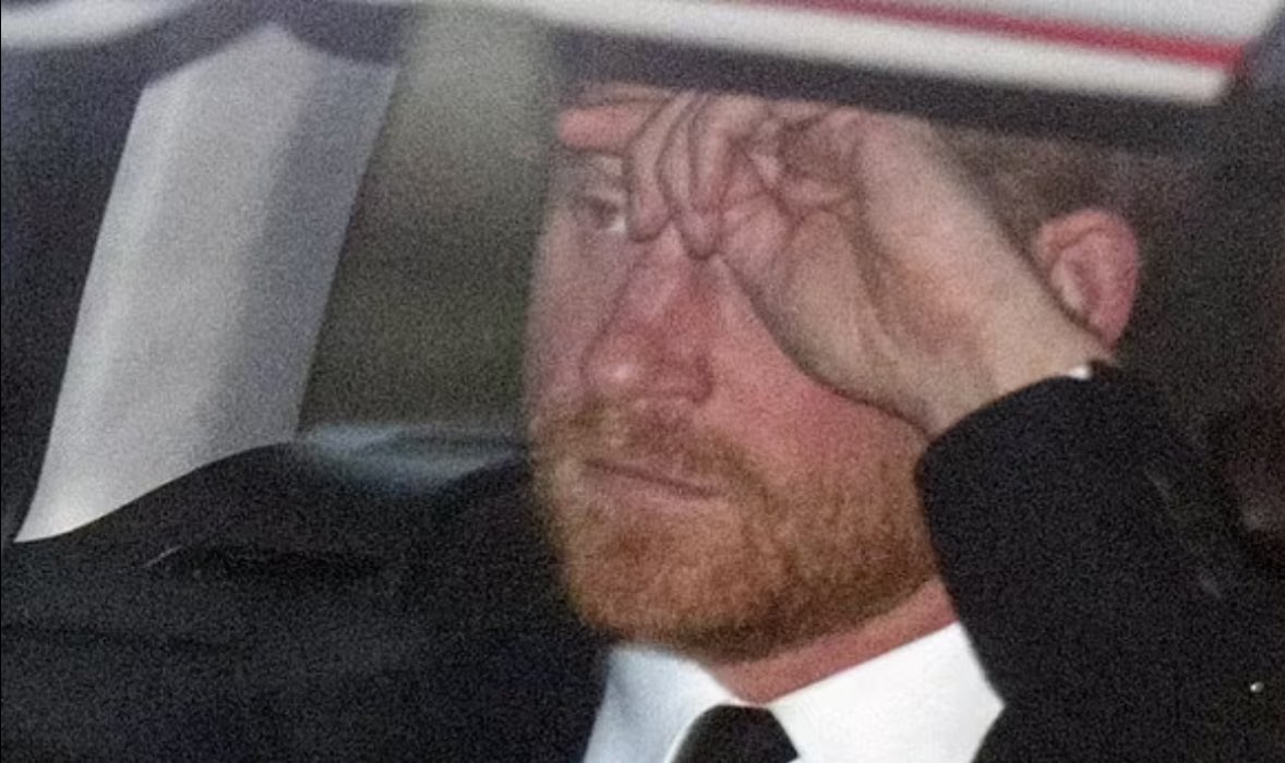 duchess_salty's tweet photo. @MailOnline @KateAus1976 Unfortunately the Kings youngest was far too busy kicking up a stink because his wife was NOT welcome in ANY capacity. The Queen HAD invited him 2 weeks before and he DECLINED to visit her. He lives with his guilt every single day #BunkerHarry #FlopGunHarry is a disgrace https://t.co/Qbg57Sl6H7