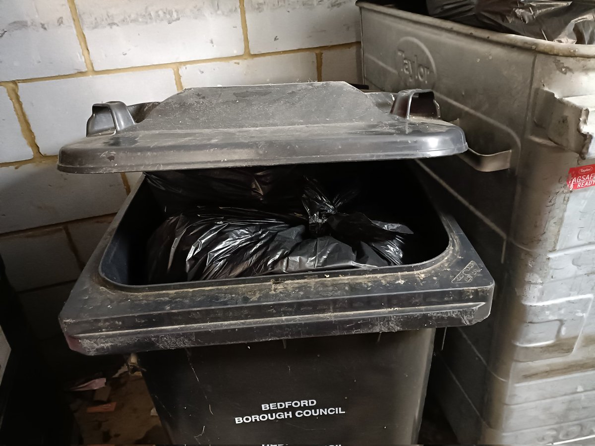 Haley (@reyno_haley) on Twitter photo These are our black bins emptied today apparently ๐ค and our orange bins still waiting to be emptied from Saturday 6th. Reported and said would be back in two days ๐ค <a href="/BedfordTweets/">Bedford Borough Council</a> <a href="/BedfordTC/">Bedford T&C</a> #counciltax These are our black bins emptied today apparently ๐ค and our orange bins still waiting to be emptied from Saturday 6th. Reported and said would be back in two days ๐ค <a href="/BedfordTweets/">Bedford Borough Council</a> <a href="/BedfordTC/">Bedford T&C</a> #counciltax