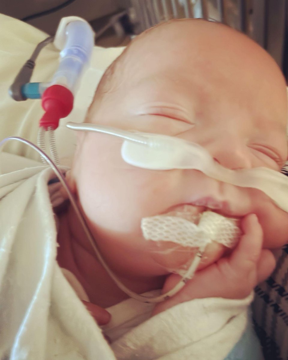 Matty102122's tweet photo. @gofundme @SharerGo 
@gofundmethreads   @JustGiving @givingbackfund 
@BetterDotGiving @GivingTuesdayUK @2xDonations @One_Donation 

I could use your help reaching my fundraising goal. Every single share and donation makes a difference. https://t.co/OVpjSnYL0O https://t.co/b6Fi4ZYcxz
