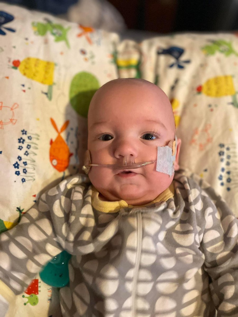 Matty102122's tweet photo. @gofundme @SharerGo 
@gofundmethreads   @JustGiving @givingbackfund 
@BetterDotGiving @GivingTuesdayUK @2xDonations @One_Donation 

I could use your help reaching my fundraising goal. Every single share and donation makes a difference. https://t.co/OVpjSnYL0O https://t.co/b6Fi4ZYcxz
