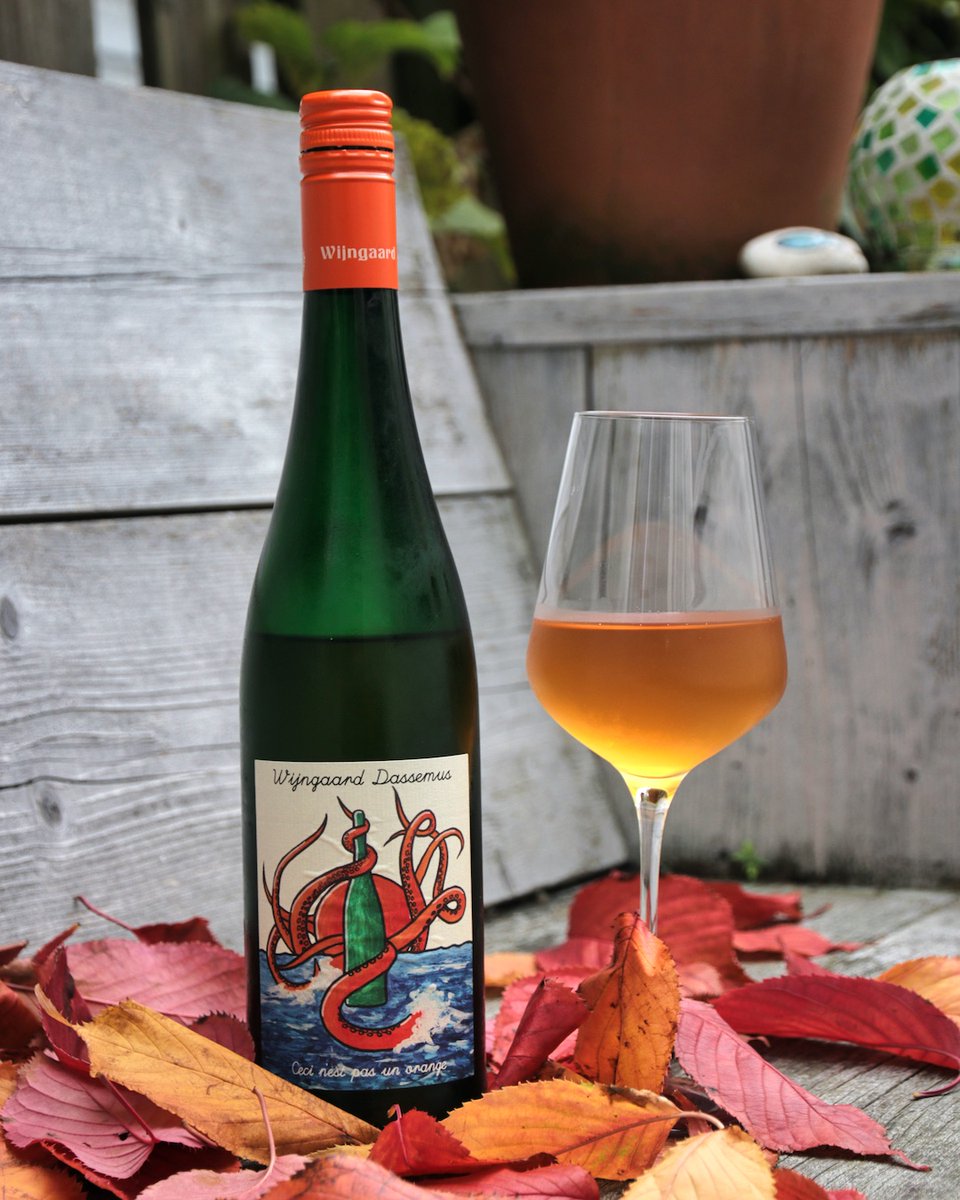 TastyTalesTV's tweet photo. Natural wine from Dutch winery Dassemus!🇳🇱 This orange wine is made from grape varieties Souvignier Gris, Muscaris and Solaris and has skin contact for three weeks. Aged in stainless steel, wood and ceramic amphora. Powerful, slightly spicy, floral and fruity. Bring on spring!☀️ https://t.co/17wFFVE4Gr