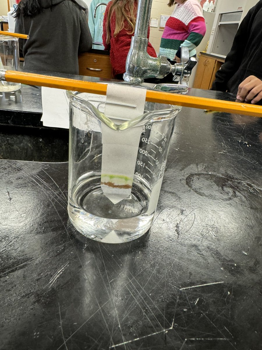 My advanced biology classes separated plant pigments using chromatography