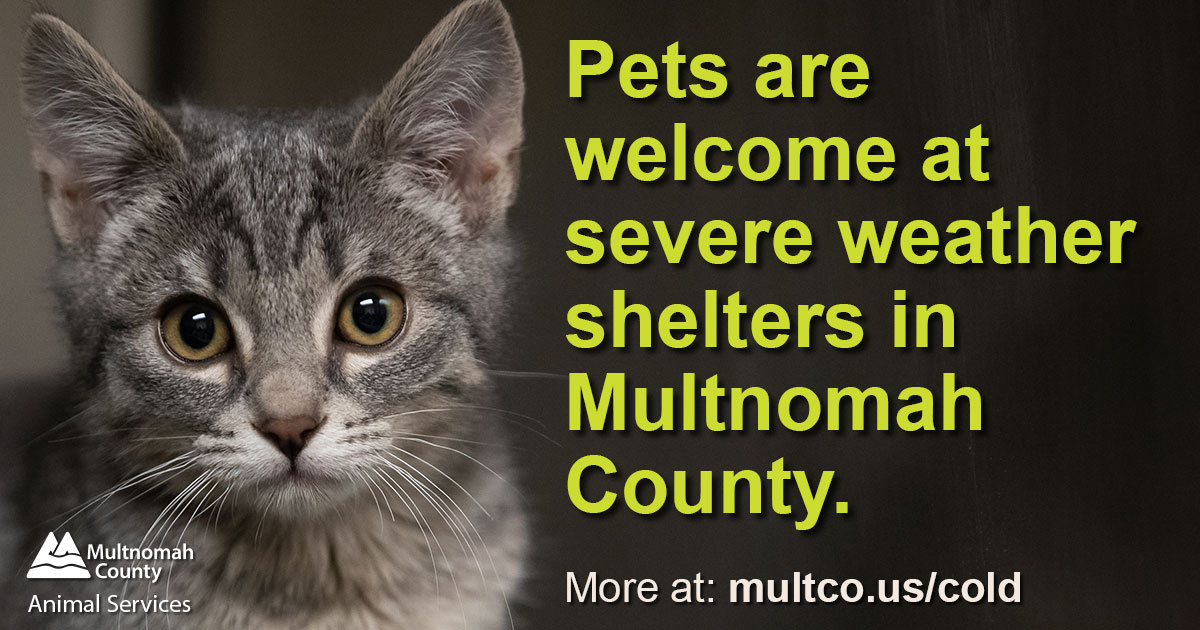 Spread the word: Pets are welcome at severe weather shelters in Multnomah County. More at: multco.us/cold