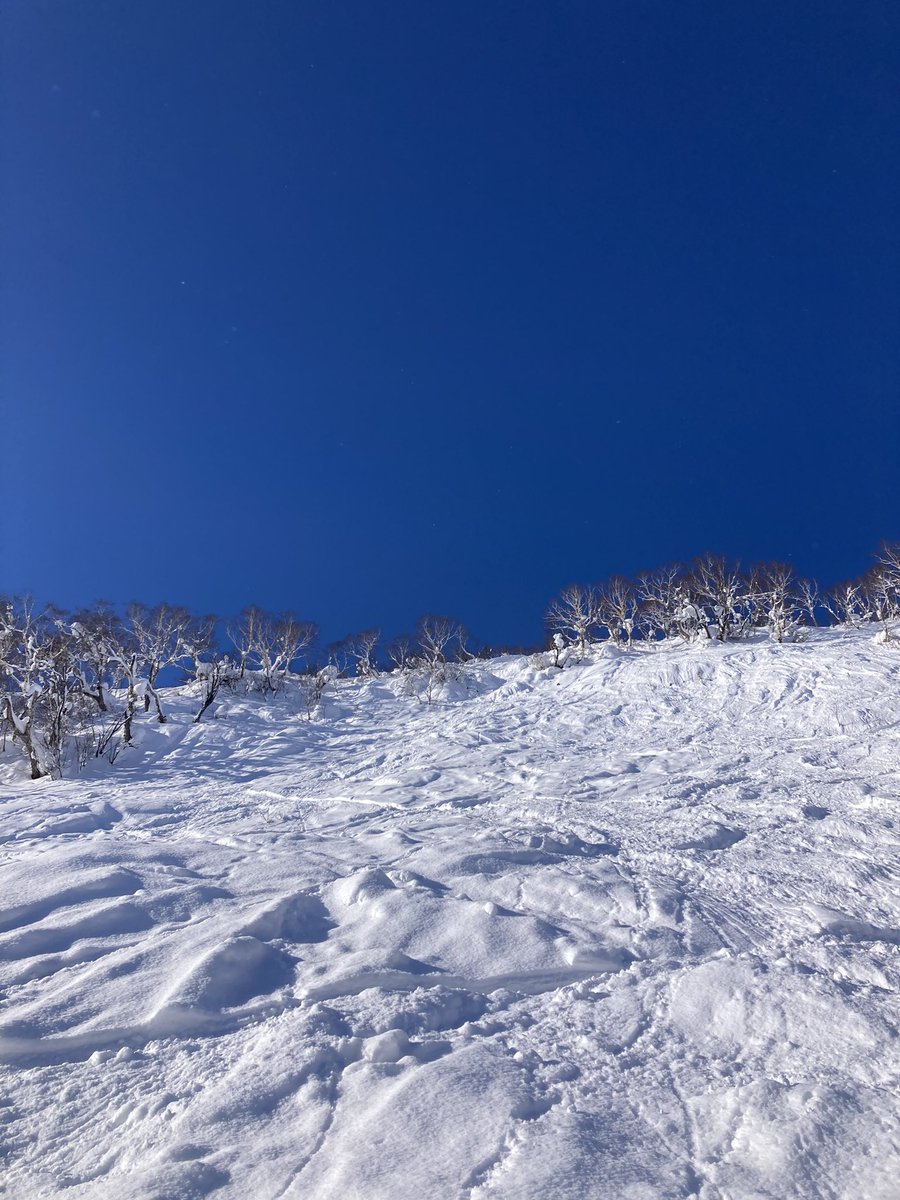SeigoSnow's tweet photo. 藤原リセットかかってました🤩 #ニセコ https://t.co/BLiaDjZ1UH