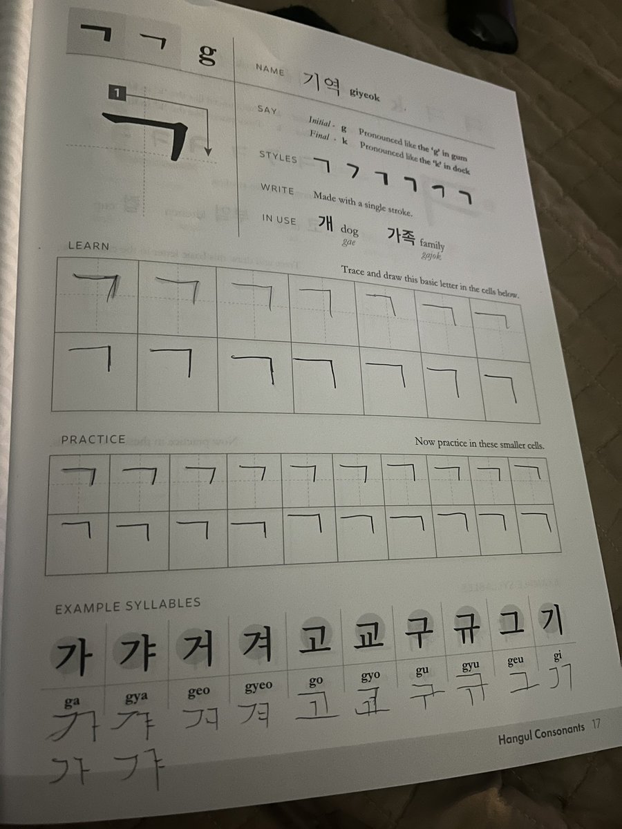I’m giving myself a year to learn to read, write, and speak basic Korean. My handwriting is atrocious but it’ll improve…hopefully lol