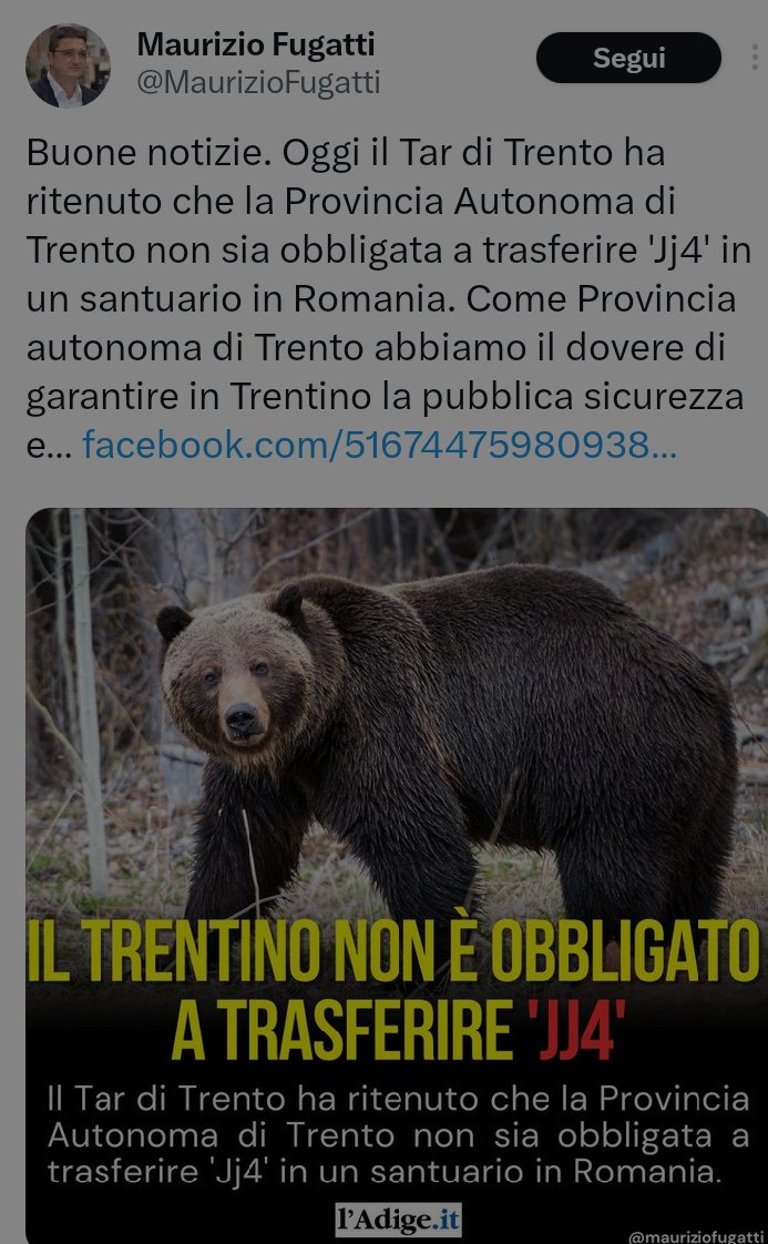 Non è stata una sorpresa apprendere oggi che uno degli #orsi trovati morti mesi fa, è uno di quelli che questa merda umana voleva fare fuori.
E come gioisce alla sentenza per #JJ4
#boycottTrentino #fugatti #orsiliberi #iostocongliorsi