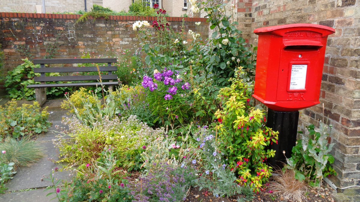 Disguised as a flower in St Ives Cambridgeshire! Have a lovely day. #PostboxSaturday #Summer23