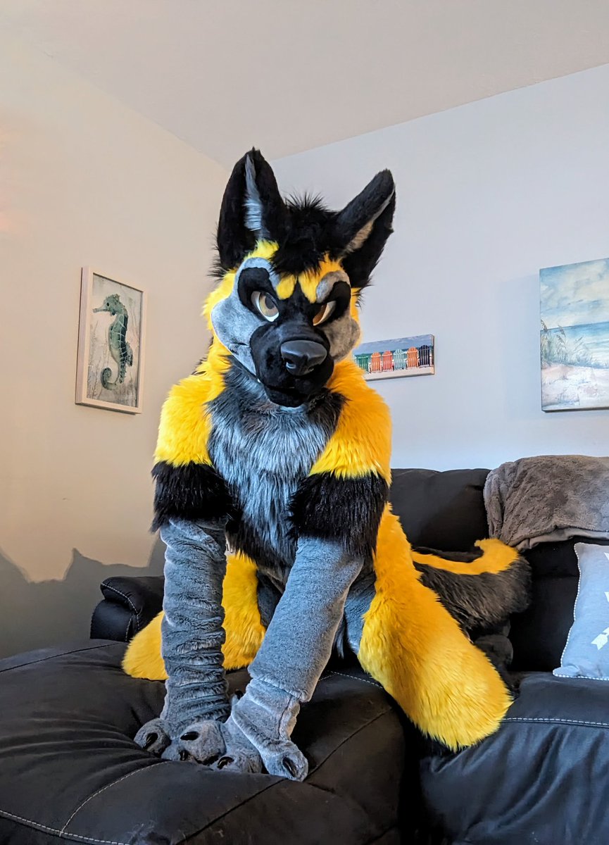 'The name is Dog... Stud Dog. But you may call me, Xion.' Woof 😏😉 #FursuitFriday