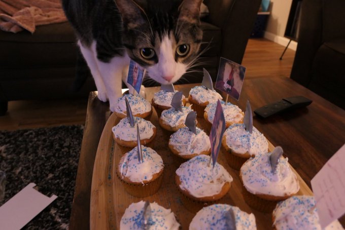 Watch emily 🩷🧡🩵💜's leaked NSFW photo on TwXstars