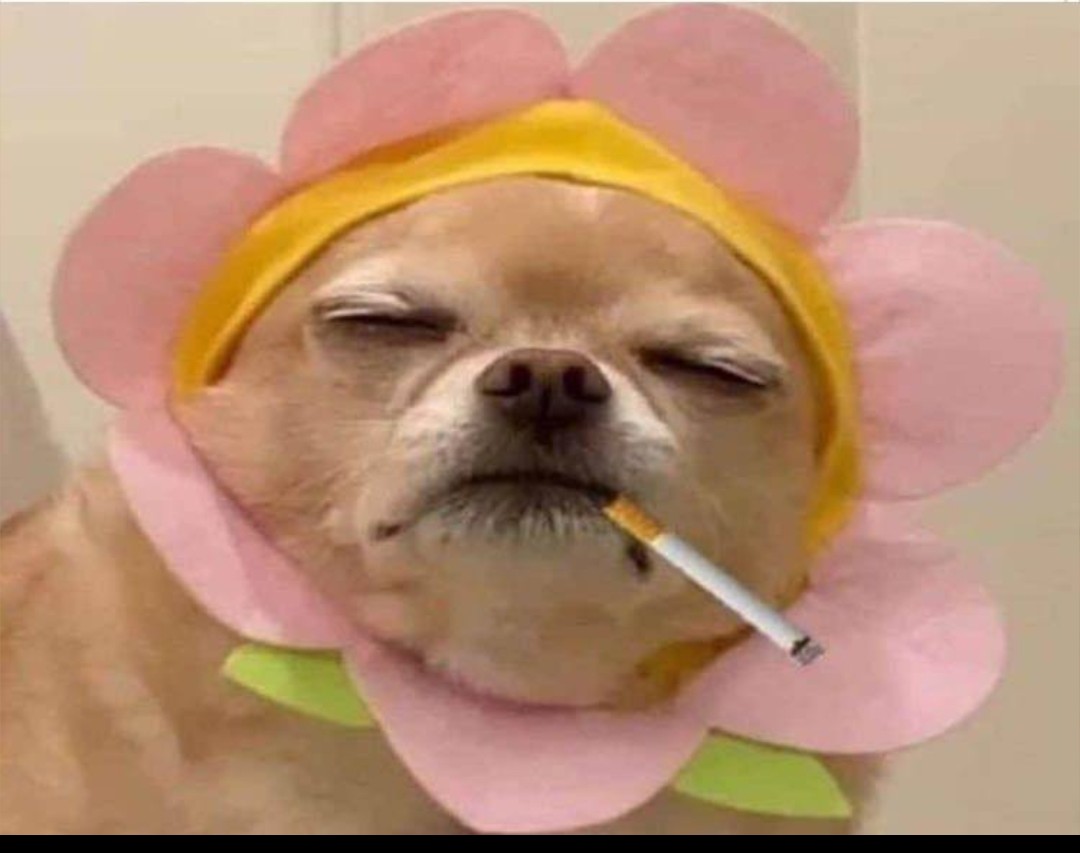 Өглөөний мэнд хүргэе! 😎