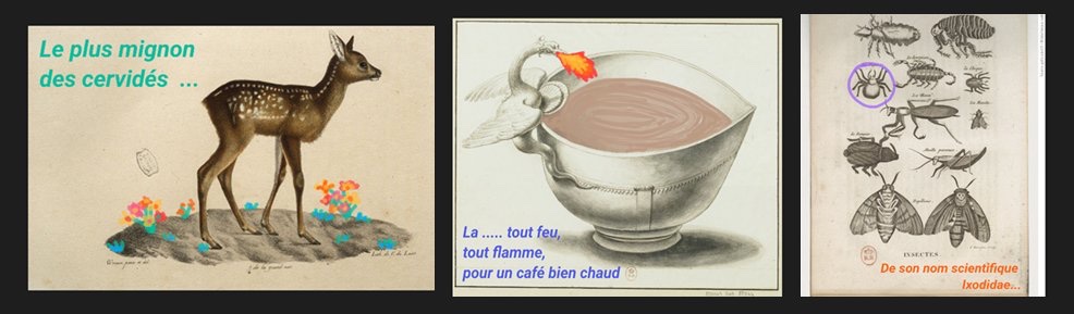 🎦 Capsules vidéo | Tous niveaux 

🔶 #Gallicarama donne la possibilité de créer un récit à partir de toutes les images de <a href="/GallicaBnF/">Gallica BnF</a>, et de l’exporter simplement sous forme de capsule vidéo.

Gallicarama 👉 gallicarama.bnf.fr
Mode d’emploi 👉 gallica.bnf.fr/blog/09012024/…