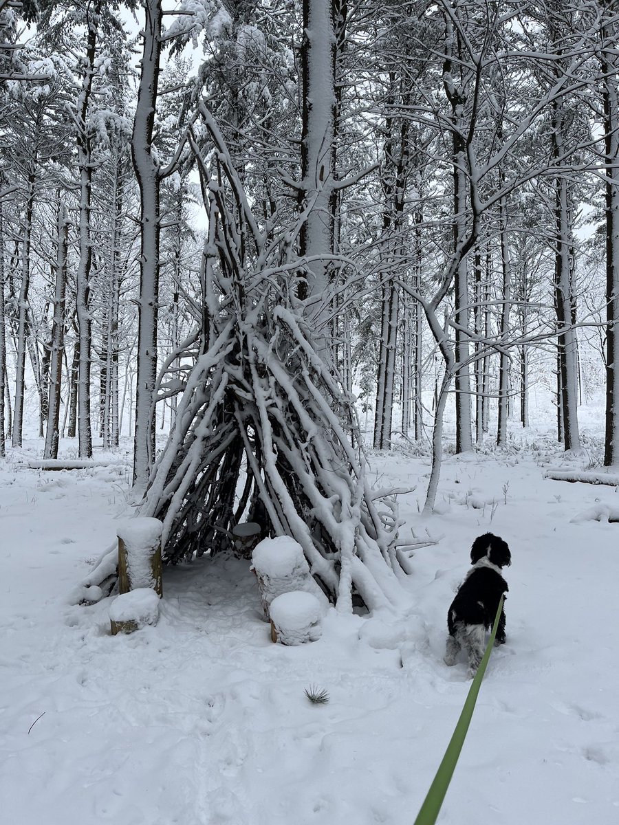 WillowsGallery's tweet photo. @ilenagm Oh, to enjoy signs of spring. Thank you for giving me warm memories. We have a lot of winter happening here. Sure, it’s peaceful looking, but bring on viola season!
#wisconsinwinter #snowfall #WinterVibes #winterart https://t.co/G7xx89nCMs