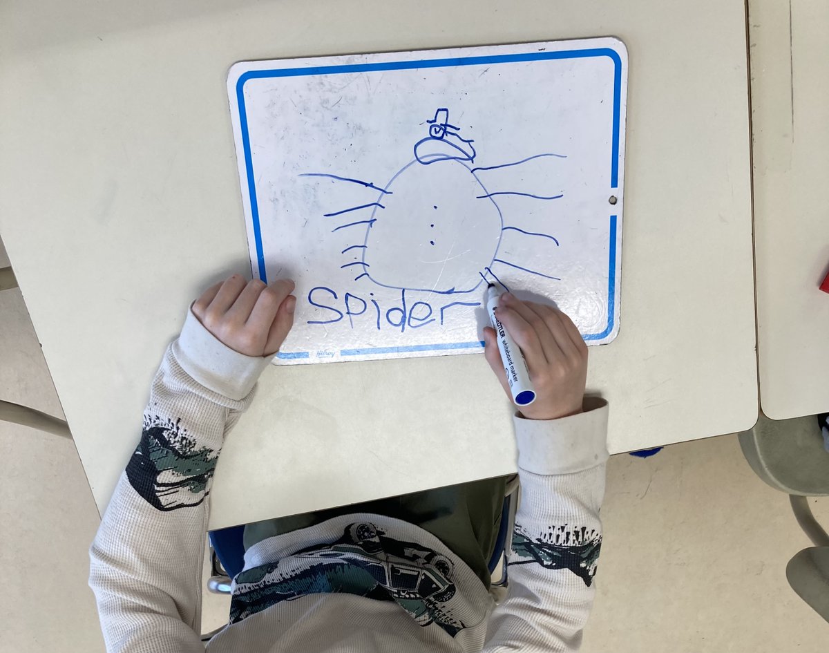 BPSHawksEES tweet media