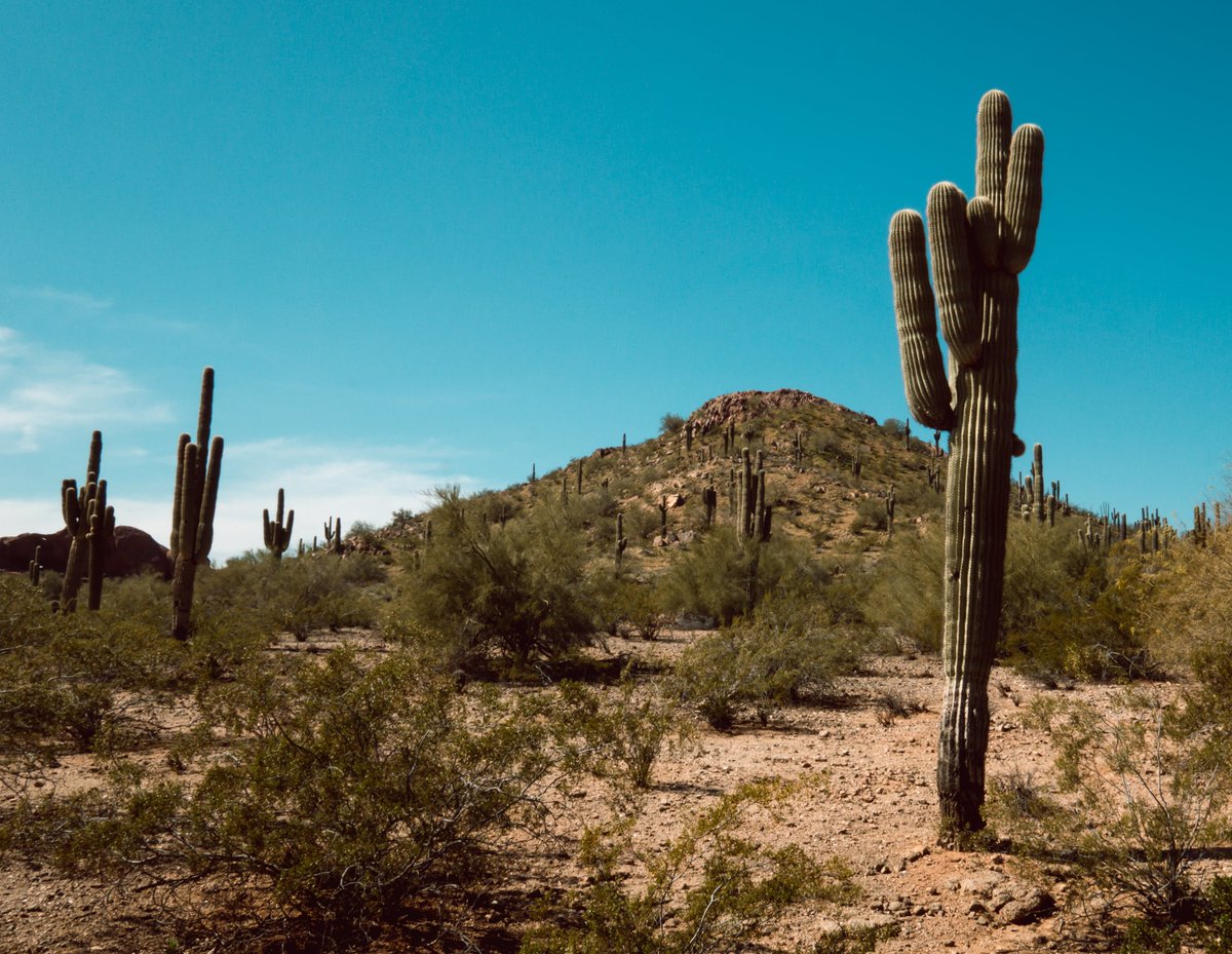 Nothing like a snowstorm 🌨 to inspire a trip to soak up some ☀! Check out flights from RST just one stop away to PHX 📸 and warm weather destinations 👉 hubs.li/Q02gkCjy0