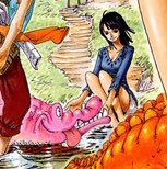 ornithization's tweet image. noooo nico robin you have to stop. your swag too strong. you love too tough. your adoration for the living world too bad. they’ll kill you 💔
