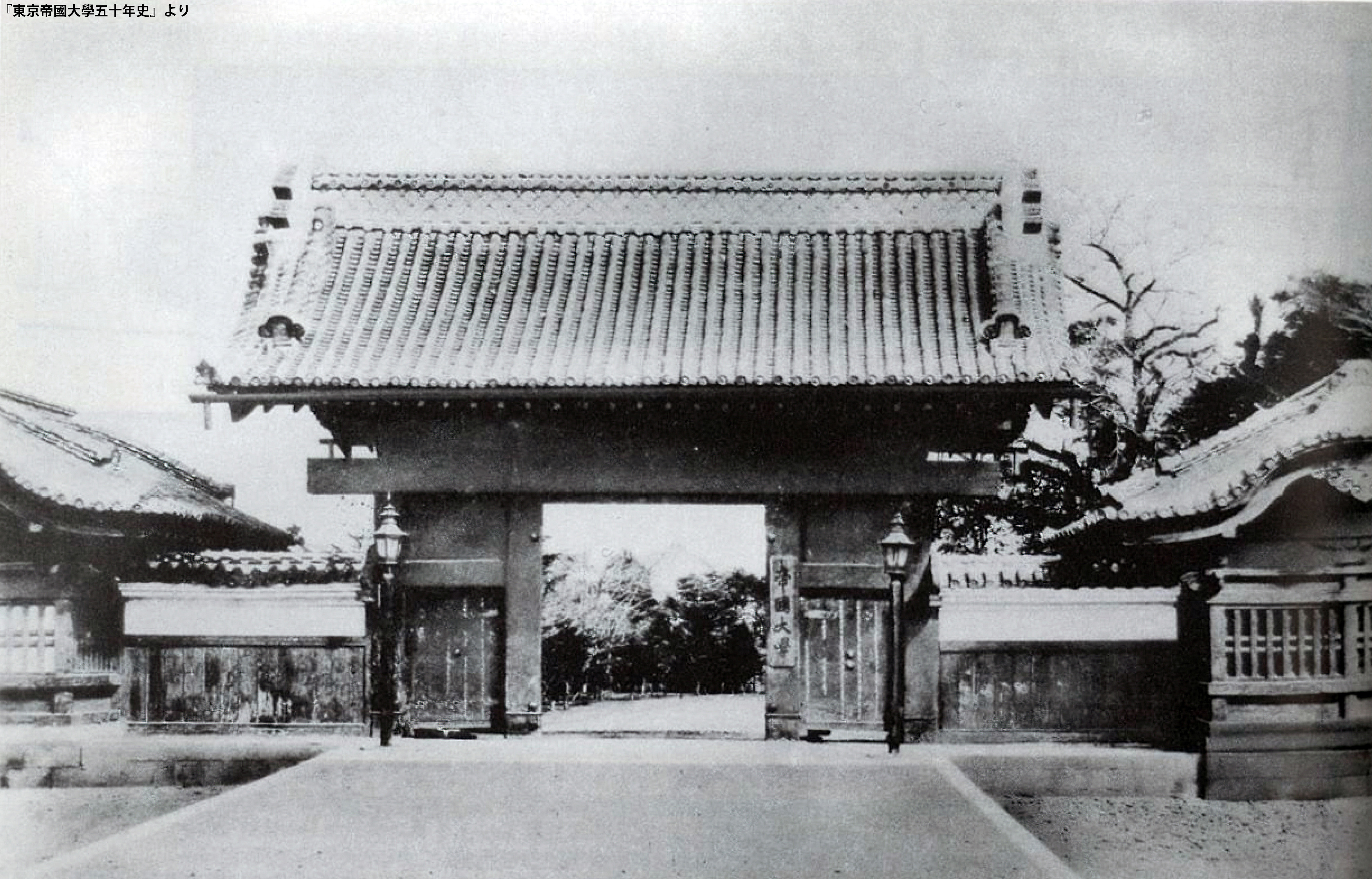 東京大学 | UTokyo on X: 