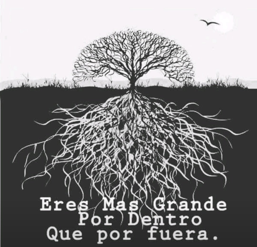 Dr. Alberto Blázquez tweet media