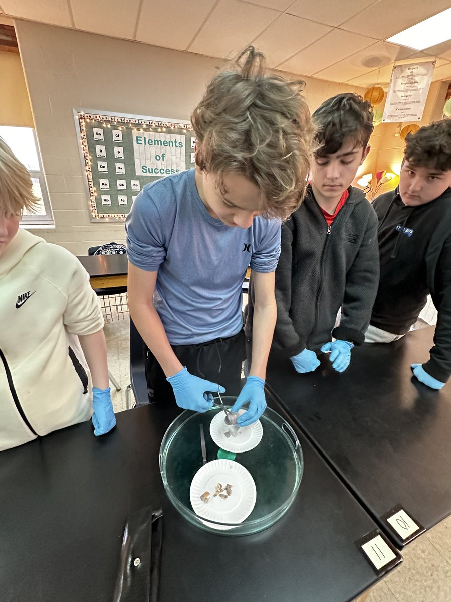 5th hour class was inquisitive and enjoyed checking out the eyeballs today!