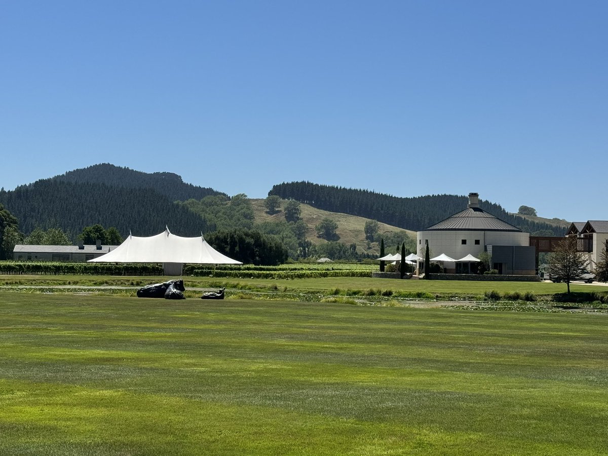 Hapua's tweet photo. Looks like somebody important is getting married at my local winery today. Media and protesters standing in 30C heat. https://t.co/Q2y8gE1Rqx